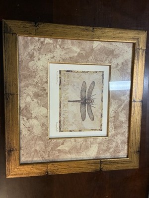 Dragonfly III Pamela gladding Framed Wall Art Print Is 5 x7  in 16 x17  Frame