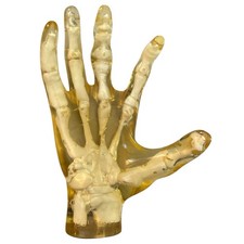 Vtg Rare 1999 Searle Pfizer Celebrex Phantom Hand Model Pharmaceutical Promo