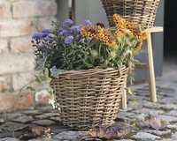 Rattan Pflanzkorb Blumenkorb Rund, Ø 35X25 Cm, Garten Blumen Pflanz Topf KüBel