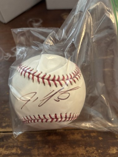Ivan Rodriguez Signed Baseball JSA AUTHENTIC
