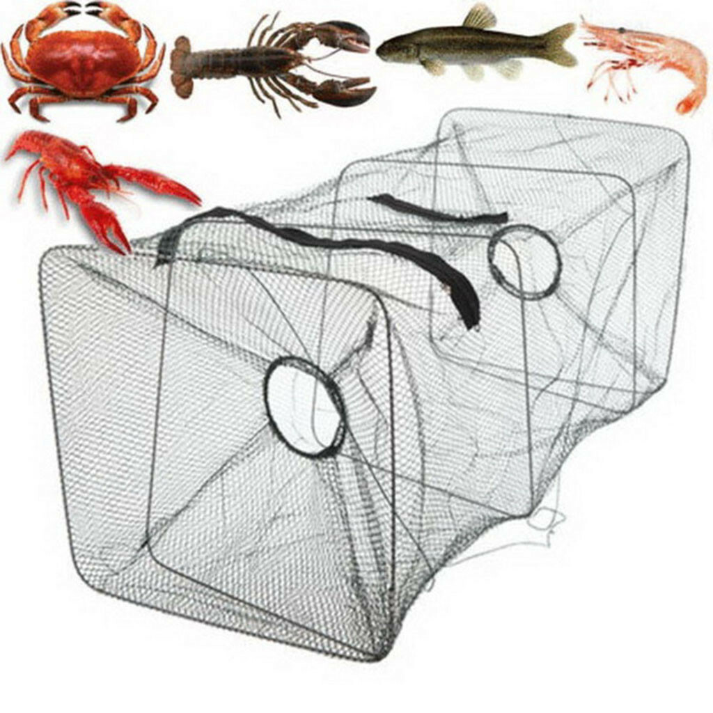Nasse à Poissons Portable - Piège Pour Anguilles, Crevettes, Crabes, Tortues En Eau Douce Ou Salée - 6
