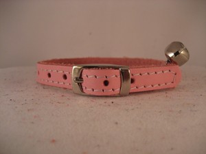 ebay cat collars
