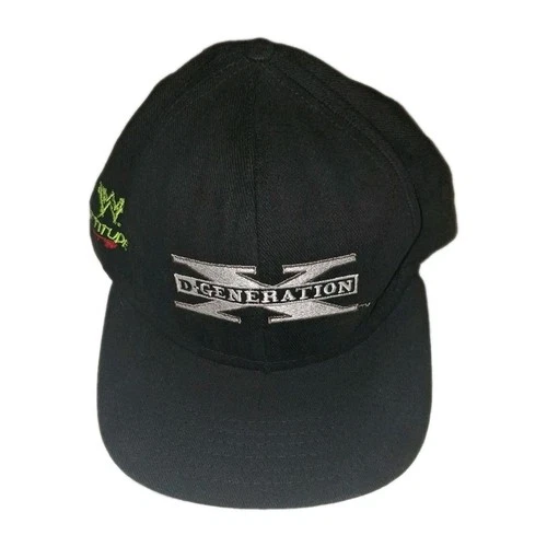 WWF DX Vintage Snapback Hat WWE WCW NWO ECW X pac Shawn 1990s vintage concert t-shirt, vintage, single stitch, B+ condition