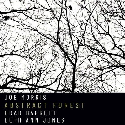 Joe Morris, Brad Barrett, Beth Ann Jones Abstract Forest (CD)