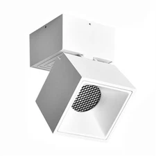 Indoor LED COB Ceiling Lamp Picture Light Fixture Adjustable Downlight Spotlight