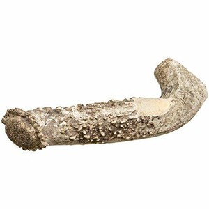 elk antlers for dogs bulk