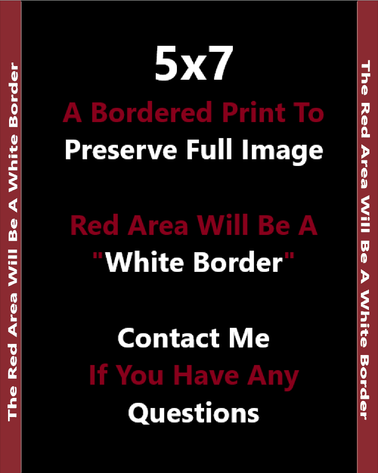 Blonde Bikini Curvy Pinup Nude Print 8x10 4x6 13x19 Sexy Photo Art