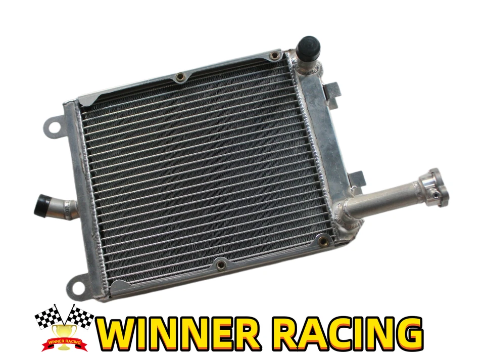 👍RADIADOR Para HONDA GL1200 GL 1200 A ALA DORADA 1984-1987 OE#19010-MG9-013 Foto 2 de 4