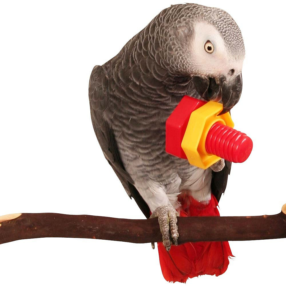 Jumbo Nut & Bolt Puzzle Parrot Toy - Pack of 2