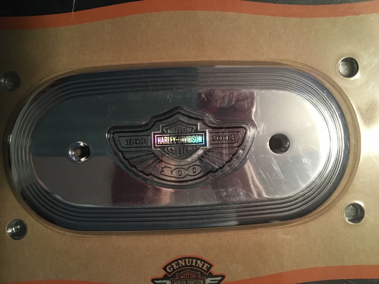 HarleyDavidson 100th Anniversary XL Sportster Air Cleaner Insert 2963103 eBay
