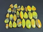 190Cts. Natural Bumble Bee Jasper Mix Cabochon Loose Gemstone 26 Pcs Lot