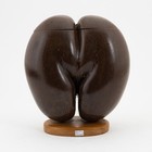 ANTIQUE COCO DE MER NARJIL SEYCHELLES PRASLIN LODOICEA SEA COCONUT