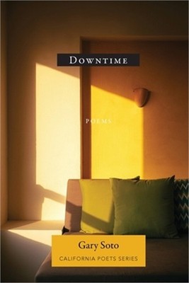 Downtime (Paperback or Softback)