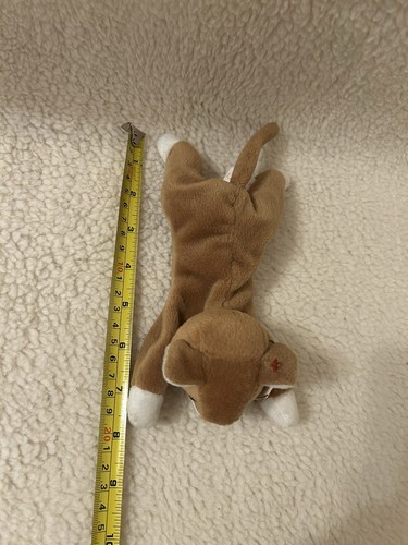 TY BEANIE BABY NIP - GINGER & WHITE CAT KITTY SOFT TOY RETIRED WITH TAGS - Picture 8 of 8