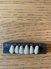 Rare Antique Vintage False Teeth Unusual Anatomically Dentures Diatorics