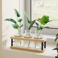 Wood Plant Propagation Station Wooden Stand Glass Terrarium for Hydroponics
