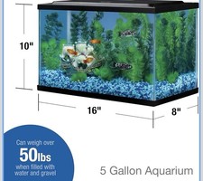 Fish Tank