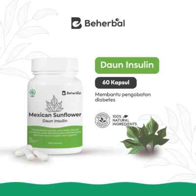Insulinblätter Kapseln Natur Bio Kräuter Gewürze Frisch Rein Hygienisch Premium