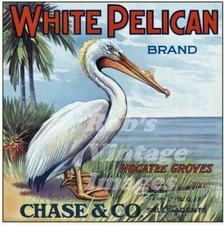 Nocatee Florida White Pelican Orange Citrus Fruit Crate Label Art Print Chase Co