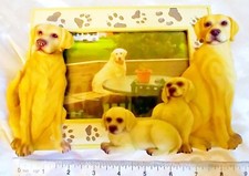 Golden Labrador Retriever Dog Puppy Photo Frame - 4" x 6" Picture Frame