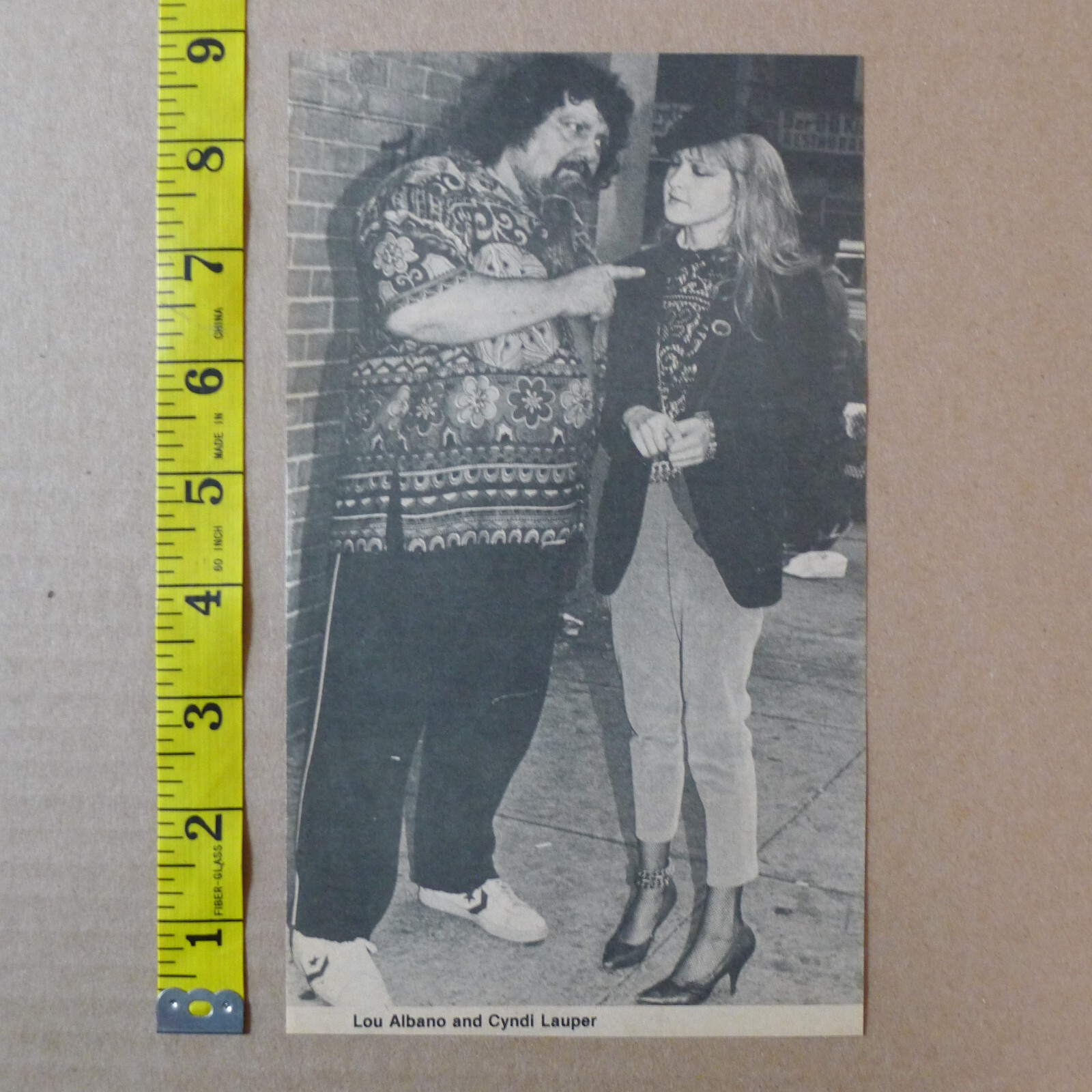 CAPTAIN LOU ALBANO and CYNDI LAUPER vintage PINUP wrestling WWF