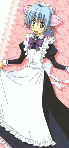 poster Hayate the Combat Butler anime Ayasaki Hayate - Picture 2 of 2