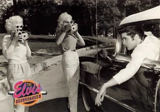 1992 The Elvis Collection #584 Whenever Elvis drove through the gates