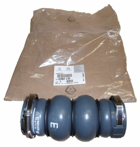 Guarnizione Collettore Aspirazione Scania Serie 4