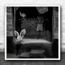 Black And White Poultry Escape Market Place Square Wall Art Print