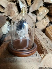 Tiny fuax shrunken Head in glass dome oddities