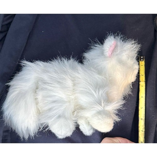 Webkinz Gatto Persiano Bianco HM110 Peluche Gattino Imbottito No Codice Ganz - Foto 9 di 10