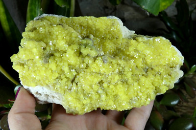TOP Native Schwefelkristalle Potosi 13,5x8cm Bolivien Mineralien Sammlung Stein