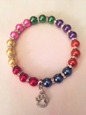 Rainbow bridge memorial stretch bracelet with paw charm cat dog in ...