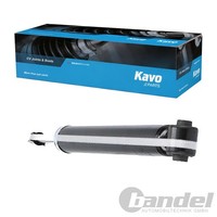Kavo Parts Gas-StoßDÄMpfer Hinten Passend FüR CitroËN C4 Peugeot 307 308