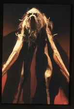 The Dark Crystal 1982 Landstrider Creature Vintage Duplicate 35mm Transparency 