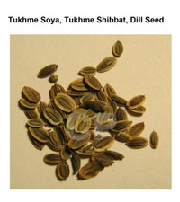 Tukhme Soya Tukhme Shibbat Dill SeedSowa Soya Dill Weed Whole 500gm 17.63 OZ .