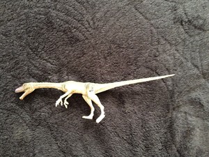jurassic park coelophysis toy