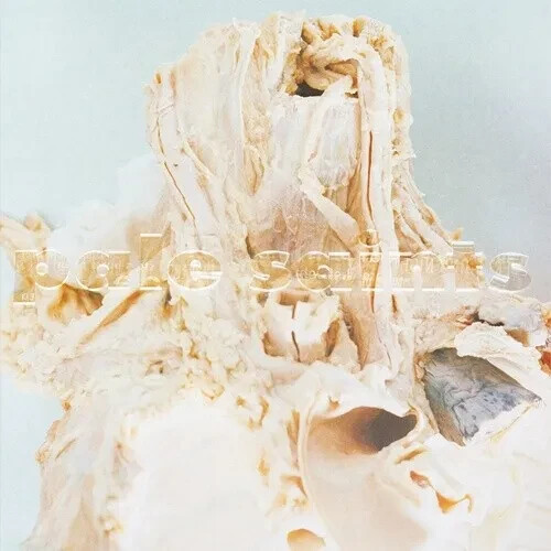 PALE SAINTS - IN RIBBONS - 30TH ANNIVERSARY EDITION - VINYL LP - NEW / SEALED