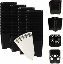 Square Pots Nursery Black - 2" Inch Flower Pot for Plants, Seedlings