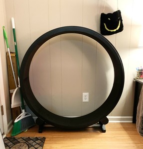 cat wheel ebay