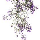 Bild 10 von 12