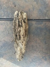 Natural Driftwood for Plants Terrarium Taxidermy Art Projects