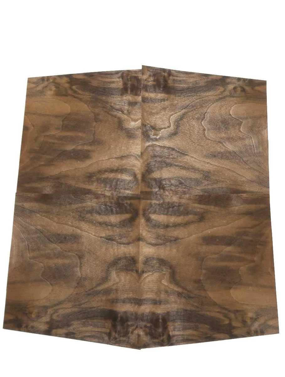 buntaLigna Furnier Holz Holzvielfalt Edelholz Möbel placages 250x43cm eBay