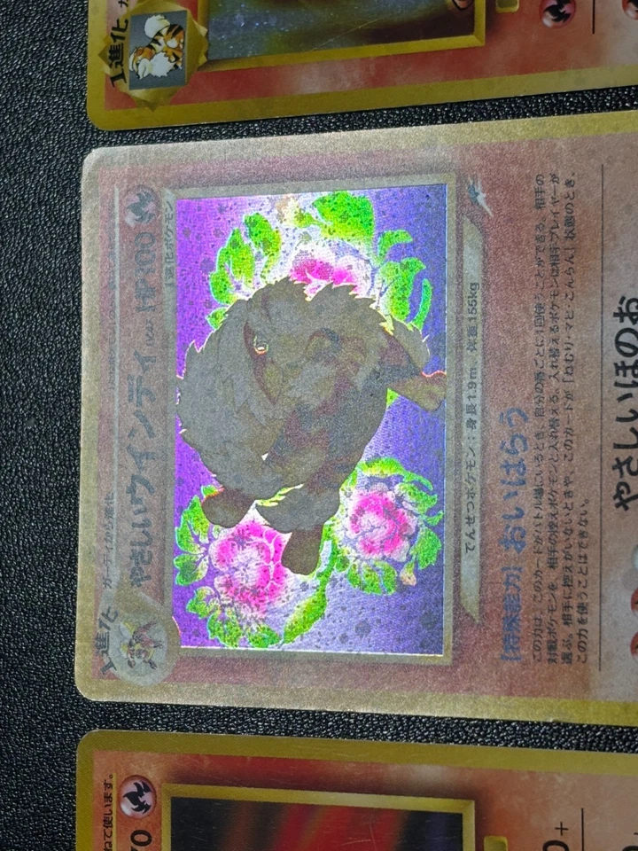 (LP) 3set Arcanine Light & Blain & TOYOTA Promo Japanese Pokemon Card - Image 4 of 4