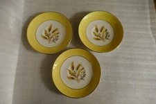 Century Service Corp Semi Vitreous Autumn Gold Wheat Lot 3 Saucer 1 Dinner plate
