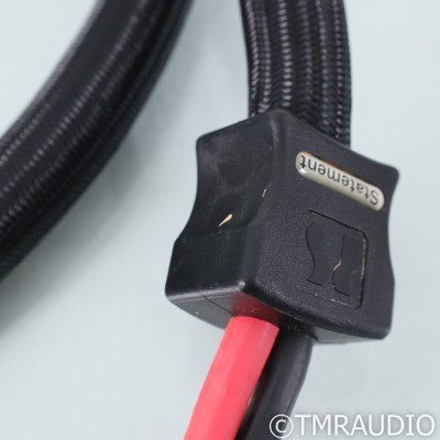 PS Audio Xstream Statement Bi-Wire Speaker Cables; 2.5m Pair | eBay
