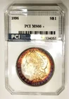 1896-P  MS 66 + Album  Rainbow Color Toned Gorgeous Morgan Dollar PCI