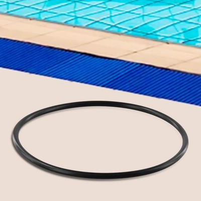 Für Hayward CL200 CL220 Deckel O Ring Ersatz Beständigkeit gegen Umwelt