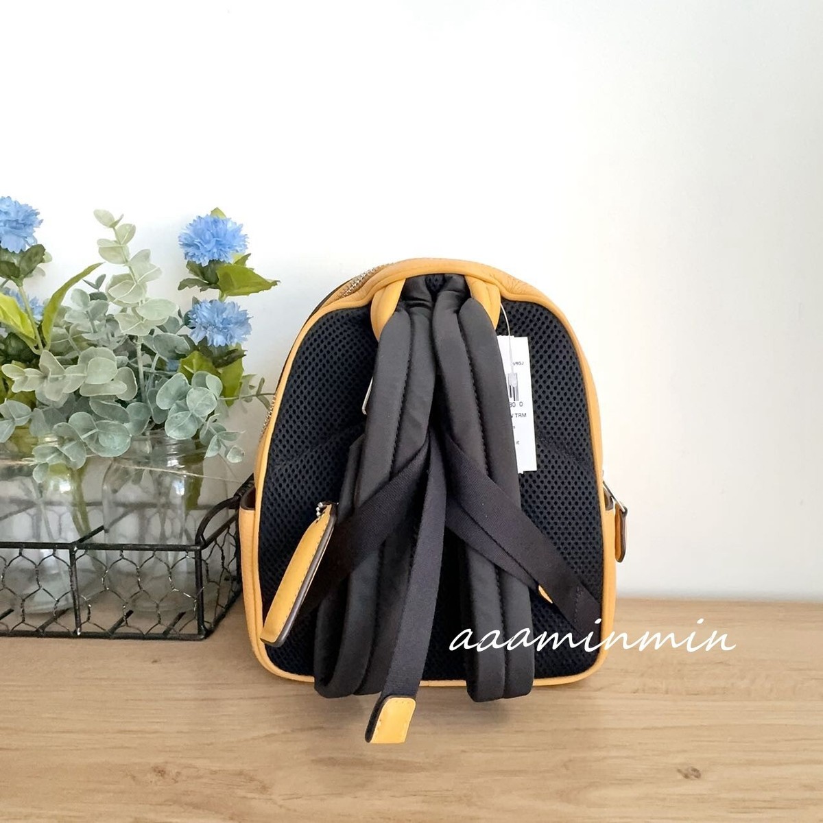 NWT Coach Mini Court Backpack CR284 | eBay