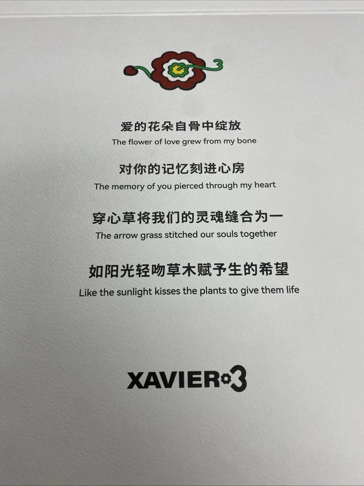 Zapatos Xavier3 Foto 4 de 4